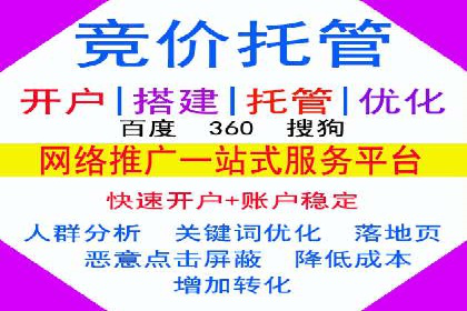 SEM代运营公司案例：优化策略揭秘